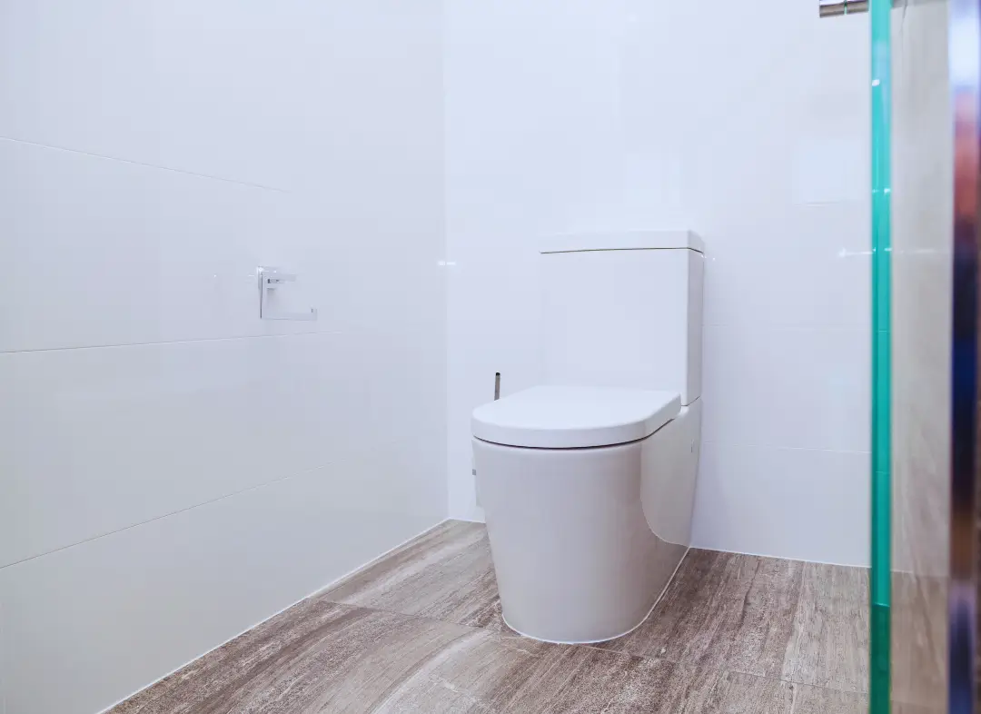 Remplacement de wc Veigné